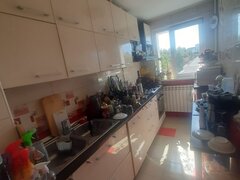 Drumul Taberei, Favorit